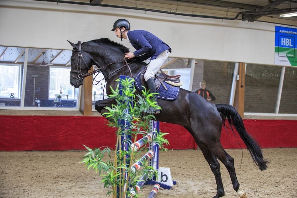paard laten trainen lunteren